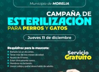 SSM realizará jornada gratuita de esterilización para perros y gatos en Morelia