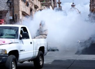SSM llama a no bajar la guardia contra el dengue en invierno