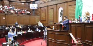 Octavio Ocampo presenta punto de acuerdo para exhortar a reforzar la seguridad en los santuarios de la Mariposa Monarca