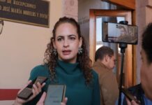 Sandra Arreola llama a dar destino responsable a los árboles navideños