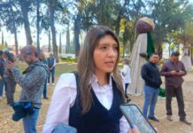 En abril, Seimujer llegará a los 113 municipios: Alejandra Anguiano