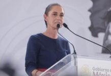 Atender las causas es fundamental para la seguridad, afirma Sheinbaum