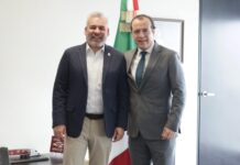 Guardian forestal y certificación ProForest Avocado facilitarán negociación en T-MEC
