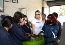 Anuncia Yarabí Ávila segunda convocatoria para cursar una Microcredencial