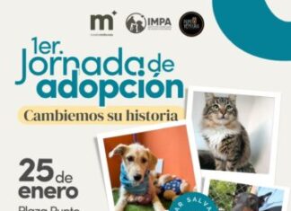 IMPA invita a cambiar una vida con la Primera Jornada de Adopción de lomitos y michis