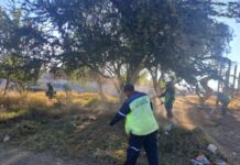 Gobierno de Morelia atiende área verde en Cumbres del Quinceo con jornada integral de mantenimiento