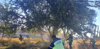 Gobierno de Morelia atiende área verde en Cumbres del Quinceo con jornada integral de mantenimiento