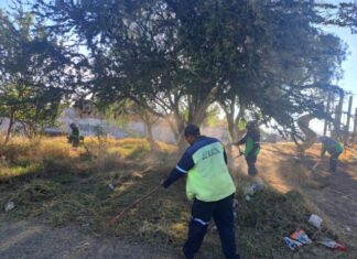 Gobierno de Morelia atiende área verde en Cumbres del Quinceo con jornada integral de mantenimiento