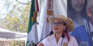 Unidades Profesionales de la UMSNH, polos de desarrollo regional: Yarabí Ávila