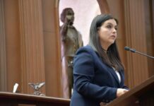 Propone diputada Tere Herrera atención integral y sin discriminación a personas con epilepsia