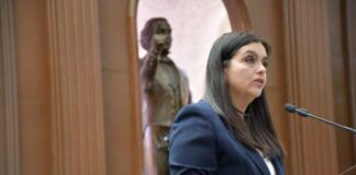 Propone diputada Tere Herrera atención integral y sin discriminación a personas con epilepsia