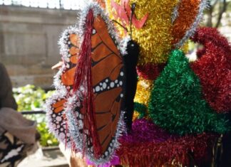 Toritos infantiles, muestra de continuidad generacional dentro del Carnaval del Torito de Petate: SeCultura Morelia