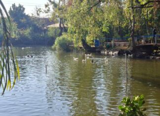 Implementa Ayuntamiento de Morelia acciones de cuidado y protección de fauna en el Bosque Cuauhtémoc