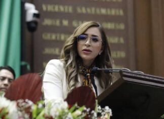 Con trabajo legislativo se han impulsado reformas que van desde la igualdad sustantiva hasta la protección a las infancias: Grecia Aguilar