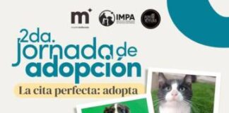 El Impa invita a la 2ª Jornada de Adopción, este fin de semana