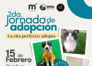 El Impa invita a la 2ª Jornada de Adopción, este fin de semana