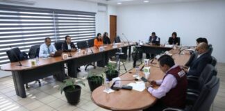 Presenta el IEM informe sobre solicitudes para constituir Agrupaciones Políticas Estatales en Michoacán