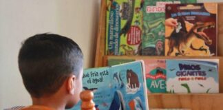 Ofrece DIF Morelia formación inicial Montessori: Paola Delgadillo