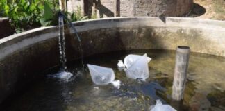 Con apoyo del Gobierno de Morelia, productores piscícolas se preparan para la cuaresma