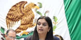 Teresita Herrera presenta iniciativa de reforma para reconocer la lactancia prolongada como una política de salud pública
