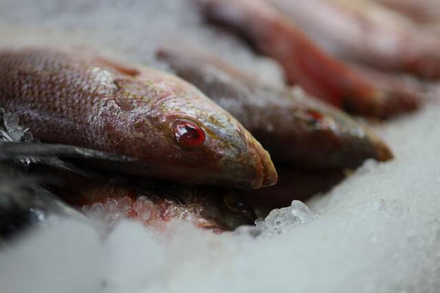 IMG-20260221-WA0005