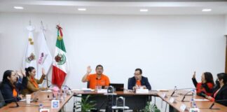 Aprueba IEM Dictamen de Evaluación del Servicio Profesional Electoral Nacional