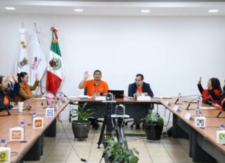 Aprueba IEM Dictamen de Evaluación del Servicio Profesional Electoral Nacional