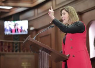Diputada Brissa Arroyo propone robustecer jurídicamente medidas cautelares