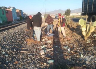 Gobierno Municipal da limpieza y mantenimiento a áreas verdes de Morelia