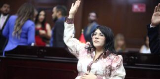 Vanhe Caratachea presenta iniciativa para proteger de violencia de género a madres jefas de familia