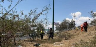 Gobierno de Alfonso Martínez implementa jornada de limpieza en salida a Charo