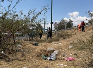 Gobierno de Alfonso Martínez implementa jornada de limpieza en salida a Charo