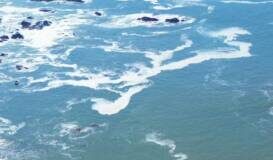 Ante presencia de Mar de Fondo; Gobierno de Lázaro Cárdenas exhorta a tomar precauciones