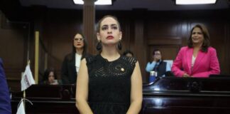 Exige GPPVEM protección urgente para defensoras y defensores ambientales ante ola de agresiones