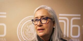 Impulsa Emma Rivera reforma para salvar vidas en carreteras: propone rampas de frenado obligatorias y revisión a transporte de carga