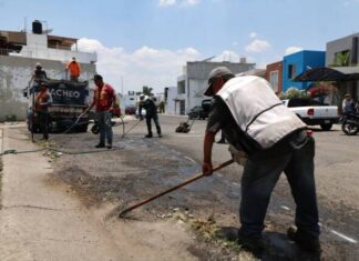 Gobierno de Morelia encabeza poda y mantenimiento de espacios para la ciudadanía