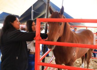 Expo Agrotegan 2026 cierra con éxito histórico y reafirma respaldo de Morelia al campo y sus familias