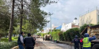 Programa de Reencarpetamiento de vialidades interviene avenida Montaña Monarca