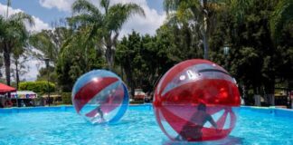 Vive un verano divertido con las burbujas y rodillos acuáticos del Zoológico de Morelia