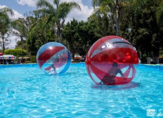 Vive un verano divertido con las burbujas y rodillos acuáticos del Zoológico de Morelia