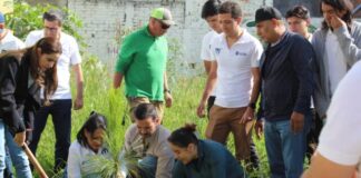 Gobierno de Morelia conmemora el Día del Árbol y anuncia reforestaciones