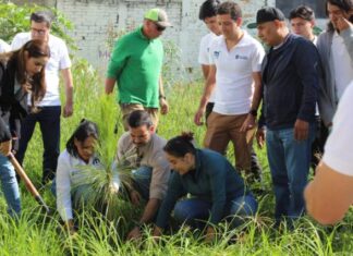 Gobierno de Morelia conmemora el Día del Árbol y anuncia reforestaciones