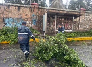 Atienden Brigadas Municipales reportes por lluvias de este viernes