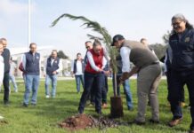 UMSNH, COMPROMETIDA CON EL CUIDADO DEL MEDIO AMBIENTE; ENCABEZA RECTORA, CRUZADA DE REFORESTACIÓN
