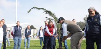 UMSNH, COMPROMETIDA CON EL CUIDADO DEL MEDIO AMBIENTE; ENCABEZA RECTORA, CRUZADA DE REFORESTACIÓN