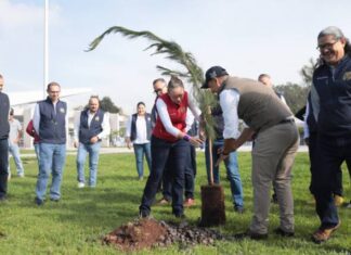 UMSNH, COMPROMETIDA CON EL CUIDADO DEL MEDIO AMBIENTE; ENCABEZA RECTORA, CRUZADA DE REFORESTACIÓN