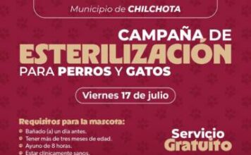 SSM realizará jornada gratuita de esterilización felina y canina en Chilchota