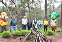 Gobierno de Morelia fortalece la recuperación de los bosques con jornada de reforestación
