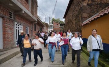 Respalda autogobierno de Santa Cruz Tanaco proyecto de Gladyz Butanda