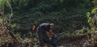 Ooapas mantiene monitoreo permanente de ríos y drenes, así como labores preventivas en distintos puntos de Morelia